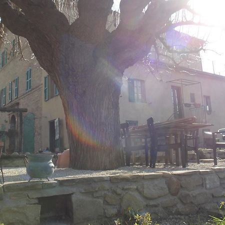 Montecarotto B&B Reillys المظهر الخارجي الصورة